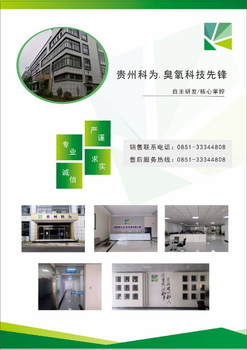山東貴州臭氧發(fā)生器 10g復古臭氧機在辦公室與學校的消毒除味應用